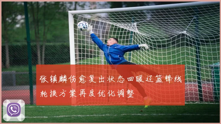 张镇麟伤愈复出状态回暖辽篮锋线轮换方案再度优化调整